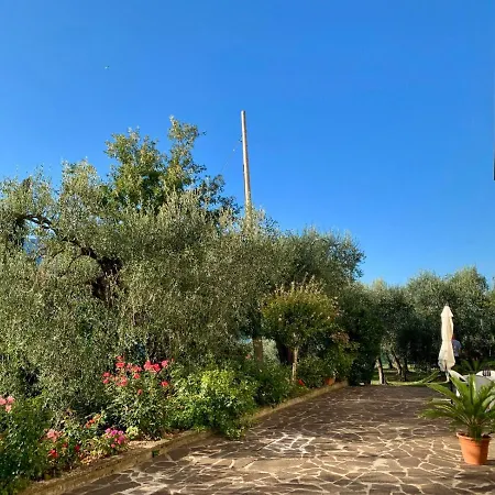 Casa Daniela Appartamento *