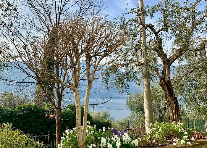 Casa Daniela Апартаменты