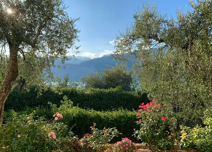 Apartament Casa Daniela *